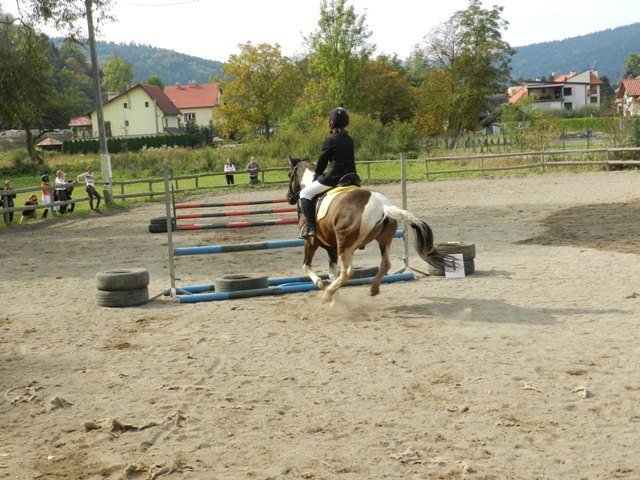 Babie Lato 2016